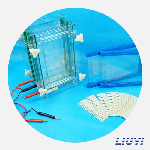 北京六一雙板夾芯式垂直電泳儀(大)DYCZ-28D