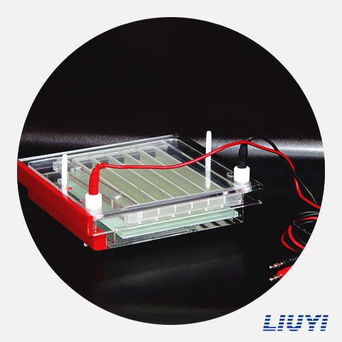 北京六一快速凝膠電泳儀DYCP-44P